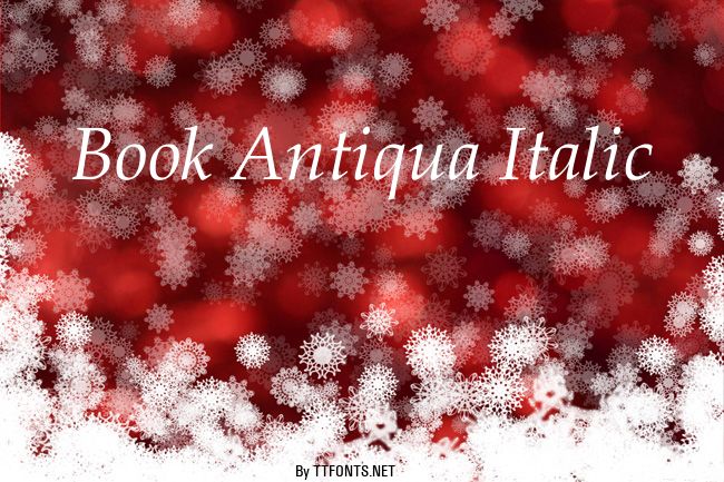 Book Antiqua Italic example